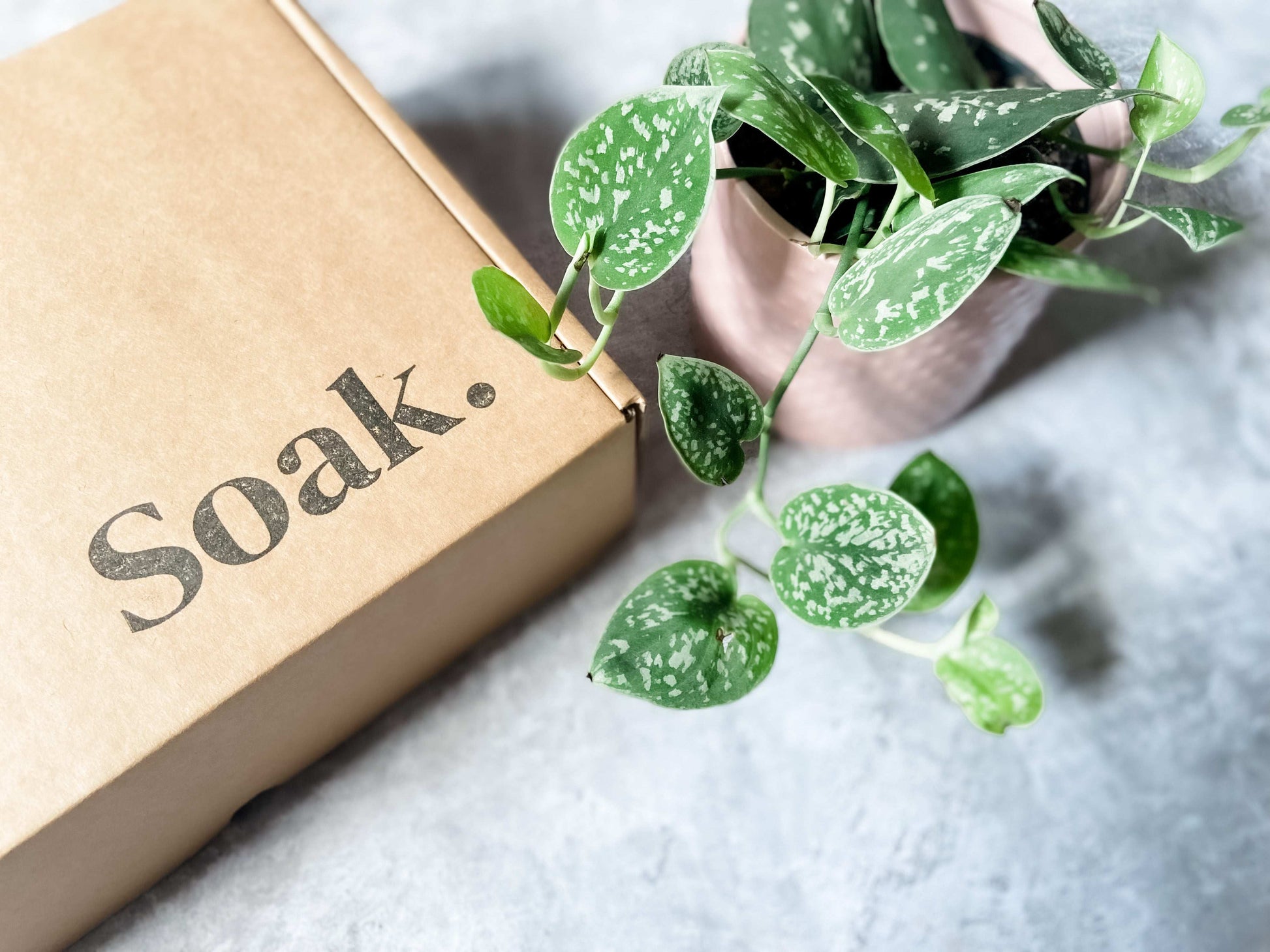Adult Craft Kit - Craft Box - Make Your Own - Craft Subscription