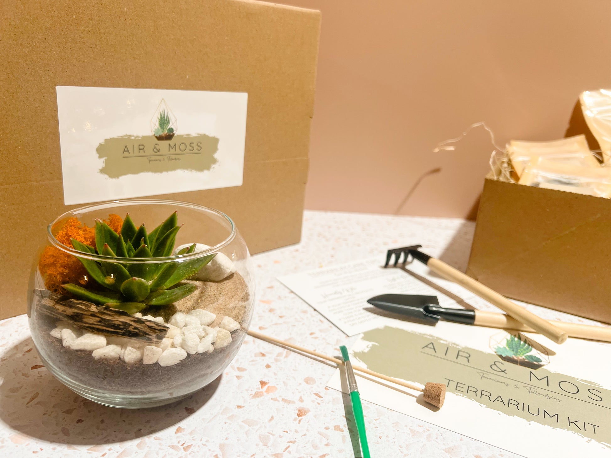 terrarium plant kit uk The Custom Terrarium Kit