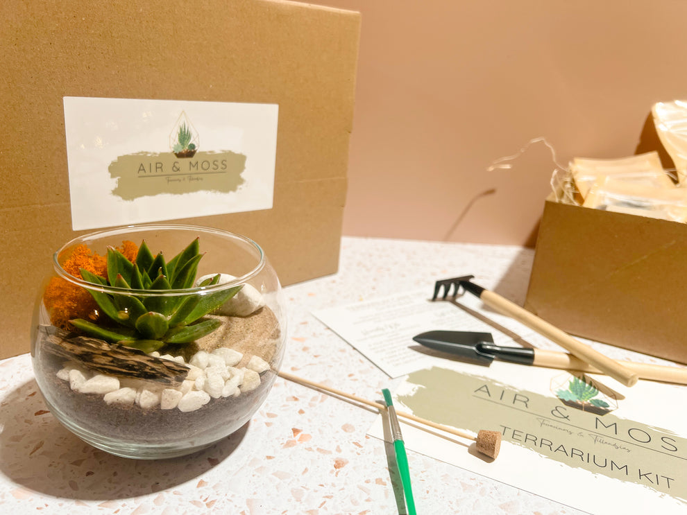 The Custom Terrarium Kit - Build Your Own Open Terrarium – The Craft ...