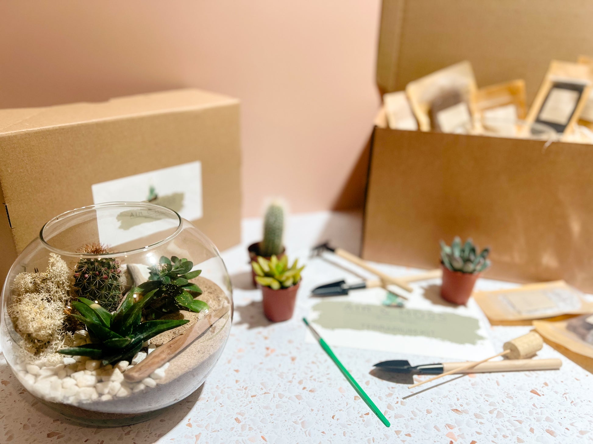 terrarium plant kit uk The Custom Terrarium Kit