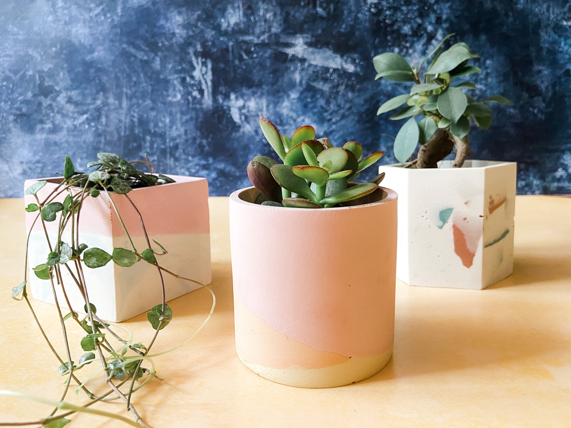make your own plant pots kit Terrazzo Plant Pot Kit